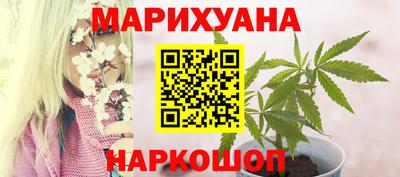 гашик Кулебаки