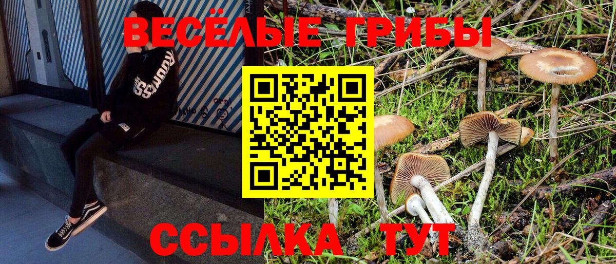 Псилоцибиновые грибы мухоморы Калининград