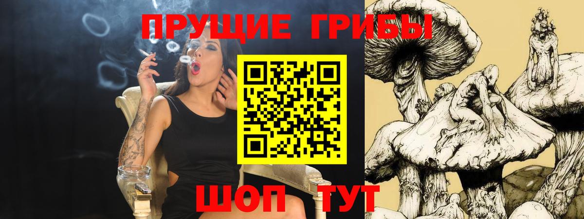 Калининград  Псилоцибиновые грибы Magic Shrooms  Вход с VPN  Псилоцибиновые грибы Psilocybe 